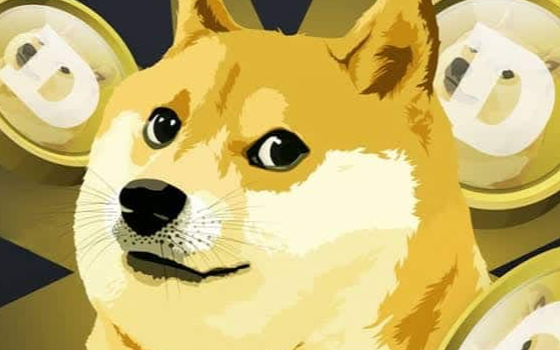 Top 7 Ví Dogecoin Bảo Mật Cao và An Toàn Nhất Năm 2025